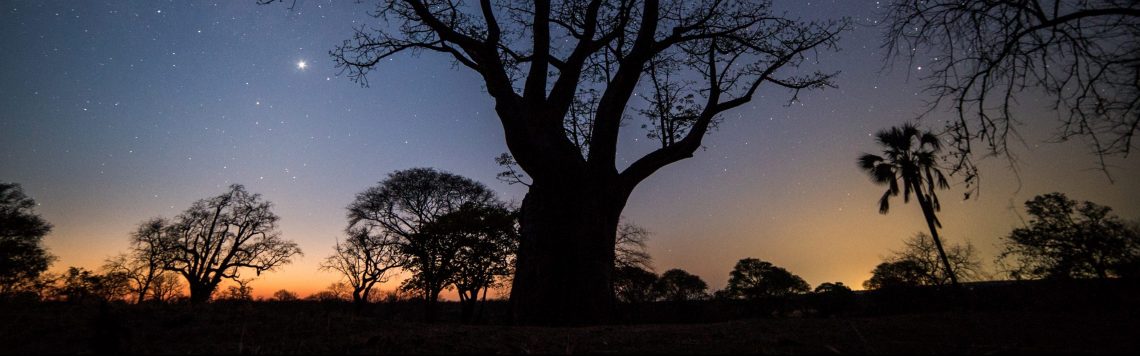 Canoe & raft the Zambezi with safari to Botswana