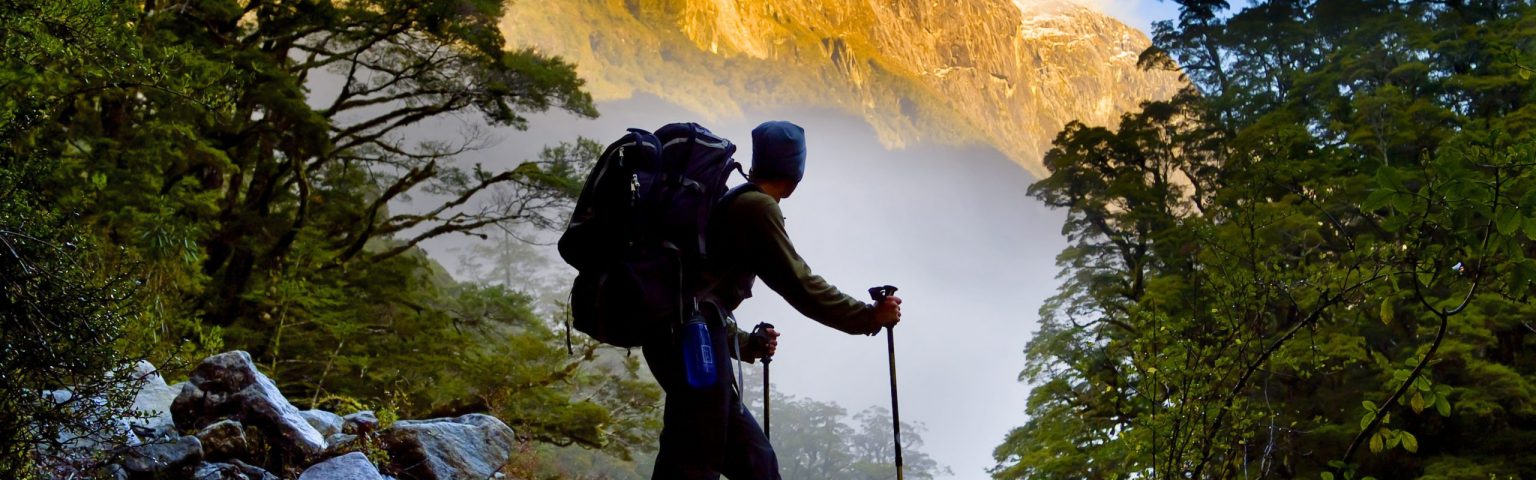 Southern Lakes Explorer With Milford Track