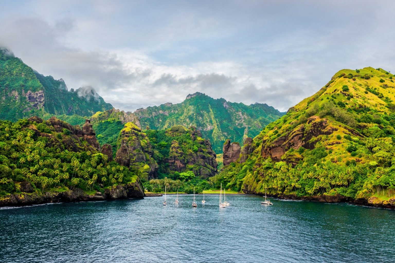 Sailing And Swimming With Humpback Whales In French Polynesia