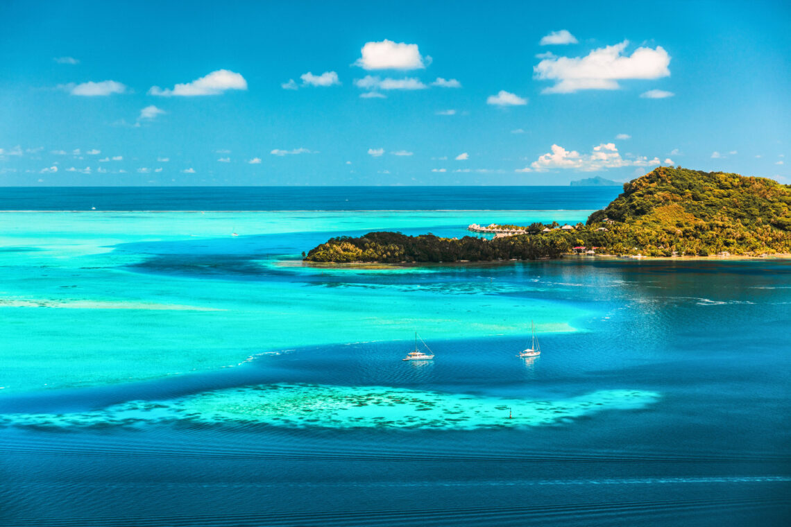 Sailing And Swimming With Humpback Whales In French Polynesia