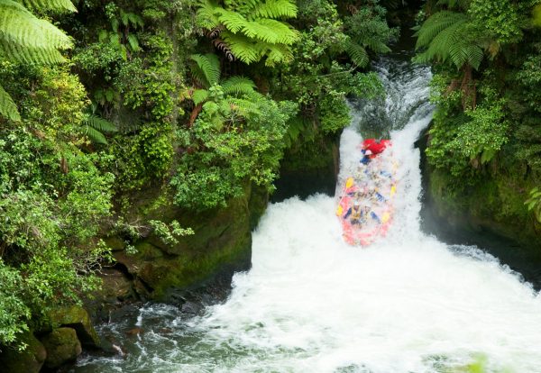 Rafting the Kaituna, New Zealand, the highest rafted waterfalls in the world. An orange raft descending a waterfall in New Zealand